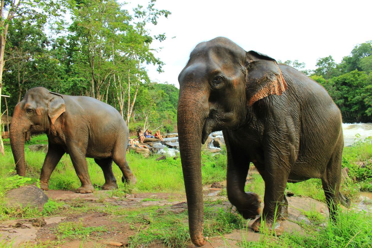 Tadlo Lodge Beng Bagian luar foto